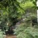 Saat Air Terjun ‘Ie Mirah’ Kian Terlupakan