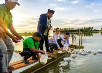 Tak Tunggu Anggaran Cair, KKP Kebut Pemulihan 745 Hektare Tambak Pidie Jaya Demi Kebangkitan Ekonomi Petambak