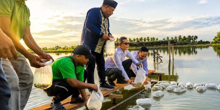 Tak Tunggu Anggaran Cair, KKP Kebut Pemulihan 745 Hektare Tambak Pidie Jaya Demi Kebangkitan Ekonomi Petambak