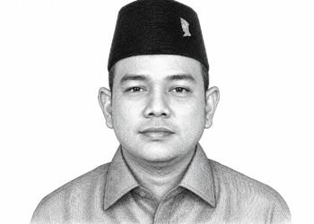 Politisi PDI Perjuangan Ultimatum Menteri ESDM: Evaluasi IUP Bermasalah di Aceh Sebelum 17 Agustus