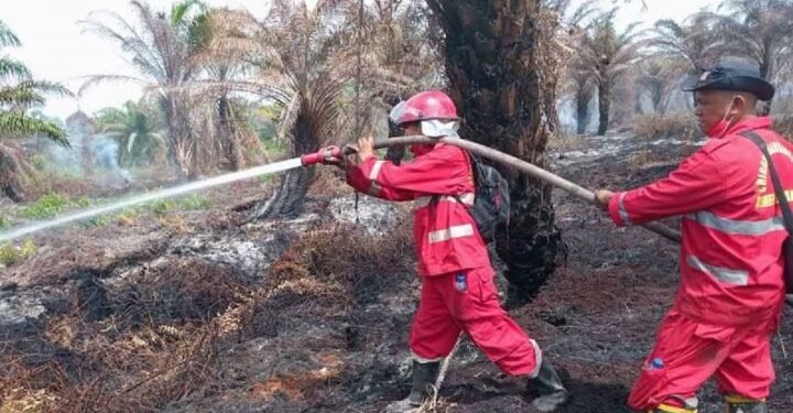 Ohku, 30 Hektare Lahan Gambut di Nagan Raya Terbakar