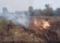 Karhutla di Aceh Barat Hanguskan 8 Hektare Lahan