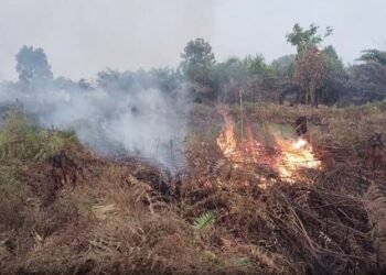 Karhutla di Aceh Barat Hanguskan 8 Hektare Lahan