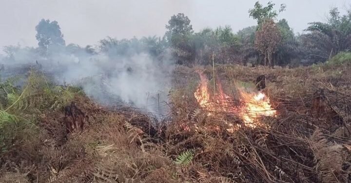 Karhutla di Aceh Barat Hanguskan 8 Hektare Lahan