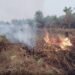 Karhutla di Aceh Barat Hanguskan 8 Hektare Lahan