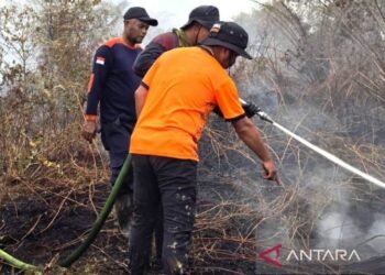 Karhutla Landa 3 Kecamatan di Aceh Barat