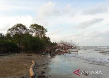 Aceh Timur Minta Pemprov Bantu Tangani Pendangkalan Muara