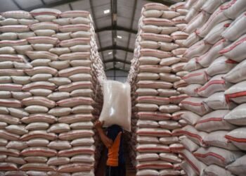 Omen, Inflasi Tahunan Aceh Sebesar 5,84 Persen di Atas Sasaran Nasional