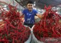 Banda Aceh Dinilai Butuh Gudang Komoditas Pangan Hortikultura