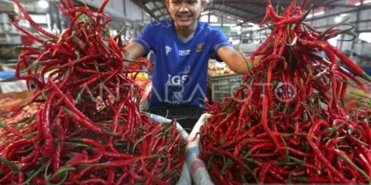 Banda Aceh Dinilai Butuh Gudang Komoditas Pangan Hortikultura