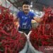 Banda Aceh Dinilai Butuh Gudang Komoditas Pangan Hortikultura