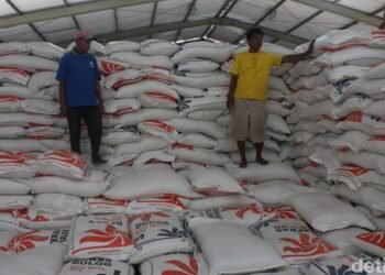 Stok Beras di Gudang Bulog Aceh Cukup untuk 13 Bulan