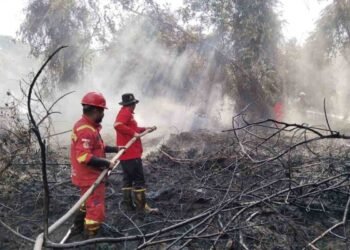 Kemenhut Kerahkan tim Manggala Agni Padamkan Kebakaran Lahan di Aceh