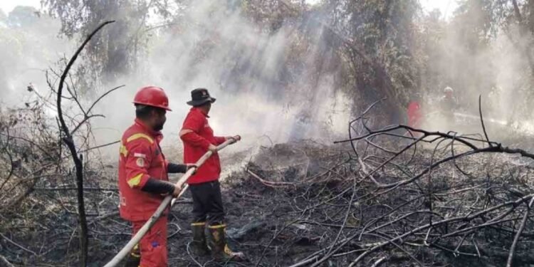 Kemenhut Kerahkan tim Manggala Agni Padamkan Kebakaran Lahan di Aceh
