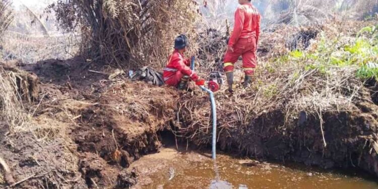 Kebakaran Lahan di Aceh Selatan Meluas Capai 25 Hektare