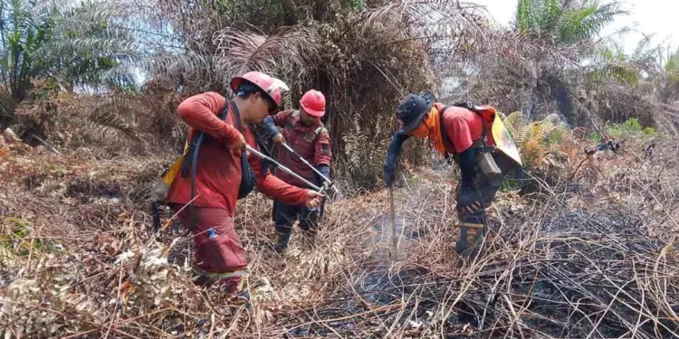 Karhutla di Aceh Selatan Dinyatakan Padam Total