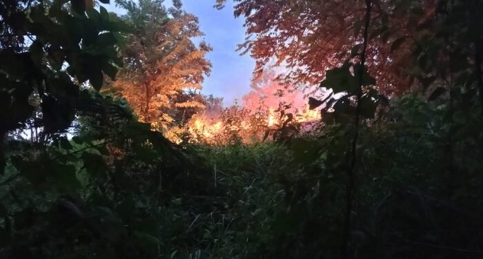 Karhutla di Muara Dua Lhokseumawe Hanguskan Sekitar 2 Hektare Lahan