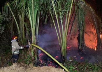 BPBD Aceh Besar Rangkul Perangkat Gampong Cegah Karhutla