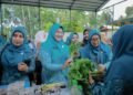 Tim Penilai Gammawar Provinsi Aceh Kunjungi Gampong Meunasah Bakthu