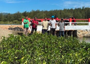 DLHK Aceh Fasilitasi Penanaman 19.200 Batang Mangrove di Lamteh Peukan Bada