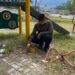 Tuanku Muhammad Minta Pemko Bertindak Cepat, Taman Meuraxa Tak Boleh Jadi Korban Pencurian Berulang