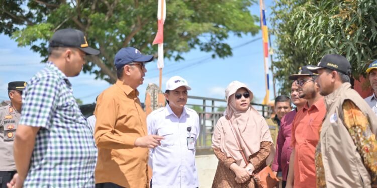 Lahan Pertanian Rusak, Rp150 Miliar Jadi Taruhan Pemulihan Pidie Jaya