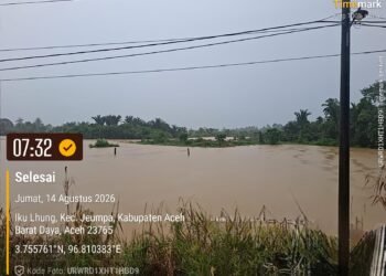 Banjir Rendam Seratusan Hektar Sawah di Kemukiman Iku Lhung Abdya