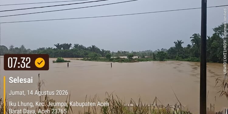 Banjir Rendam Seratusan Hektar Sawah di Kemukiman Iku Lhung Abdya