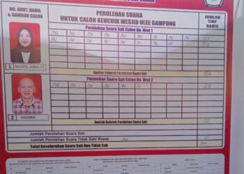 Rauzatul Jannah Toreh Sejarah, Jadi Keuchik Perempuan Pertama di Kecamatan Indra Jaya