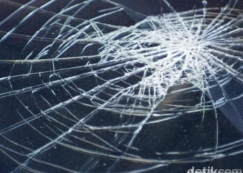 7 Warga Meninggal Usai Pohon Tumbang Timpa Mobil Pikap di Pidie