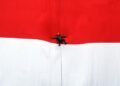 Ini Negara yang Pernah Menggugat Bendera ‘Merah Putih’ RI