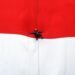 Ini Negara yang Pernah Menggugat Bendera ‘Merah Putih’ RI