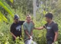Krak, Kurir Narkoba di Nagan Ditangkap Saat COD, Ganja Diumpetin di Semak-semak