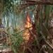 Satu Hektare Lahan Rumbia Terbakar di Aceh Besar