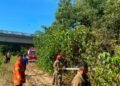 Karhutla Hanguskan Sekitar Satu Hektare Lahan di Indrapuri