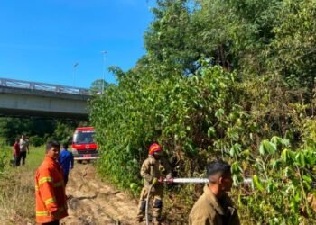 Karhutla Hanguskan Sekitar Satu Hektare Lahan di Indrapuri