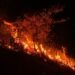 Delapan Hektare Hutan di Blang Bintang Terbakar