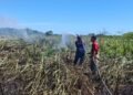 Satu Hektare Lahan di Lhoknga Terbakar