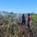 Satu Hektare Lahan di Lhoknga Terbakar