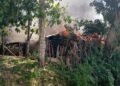 11 Rumah Warga di Gayo Lues Hangus Terbakar