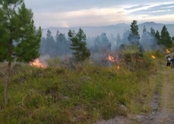 20 Hektare Lahan di Bener Meriah Kembali Terbakar