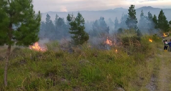 20 Hektare Lahan di Bener Meriah Kembali Terbakar