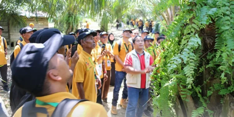 Petani Sawit Aceh Ikuti Pelatihan Budi Daya Kelapa Sawit Bersama BPDP