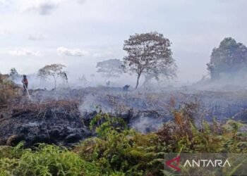 Dinas Kesehatan Aceh Barat Siagakan Puskesmas Hadapi Dampak Karhutla