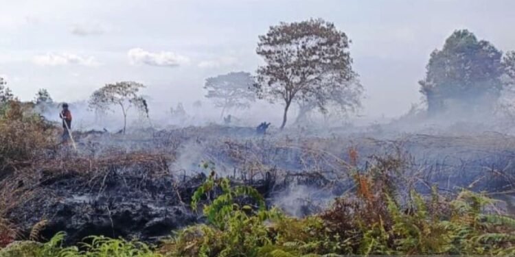 Dinas Kesehatan Aceh Barat Siagakan Puskesmas Hadapi Dampak Karhutla