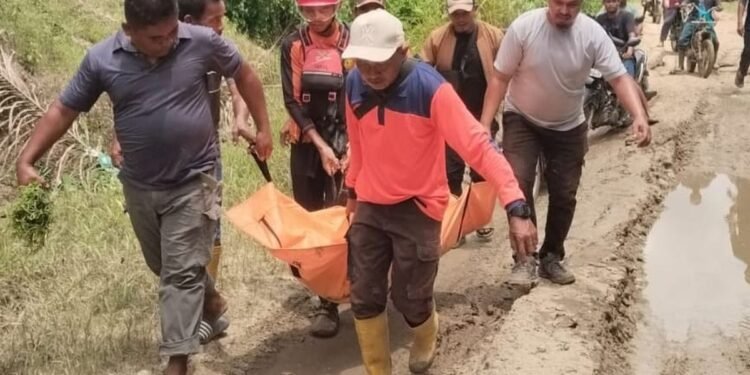 Ohku, Warga Aceh Timur Tewas Diterkam Buaya Saat Seberangkan Kerbau