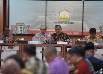 Lima Komoditas Ini Berpotensi Picu Inflasi di Aceh