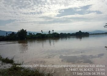 Ratusan Hektare Padi di Kemukiman Iku Lhueng Masih Terendam Banjir, Petani Terancam Gagal Panen