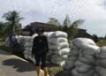Luar Biasa! Hasil Panen di Blangpidie Capai 8,7 Ton per Hektare, Rekor Tertinggi Selama 6 Tahun