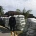 Luar Biasa! Hasil Panen di Blangpidie Capai 8,7 Ton per Hektare, Rekor Tertinggi Selama 6 Tahun